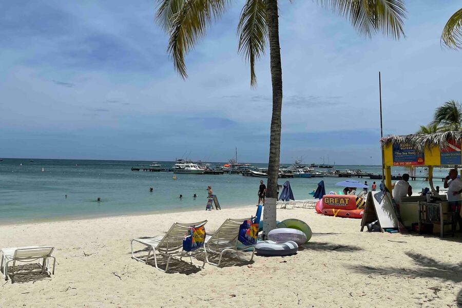 Beach bar with palm trees Aruba